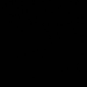 Meet your Posher, Shawn